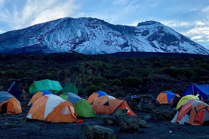 7-Day Kilimanjaro Climb Machame Route - The Lava Tower acclimatization day