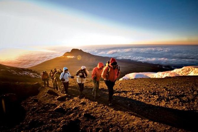 7-Day Kilimanjaro Climb Machame Route–The Best Path to Uhuru Peak - Day 7: Mweka Camp to Mweka Gate