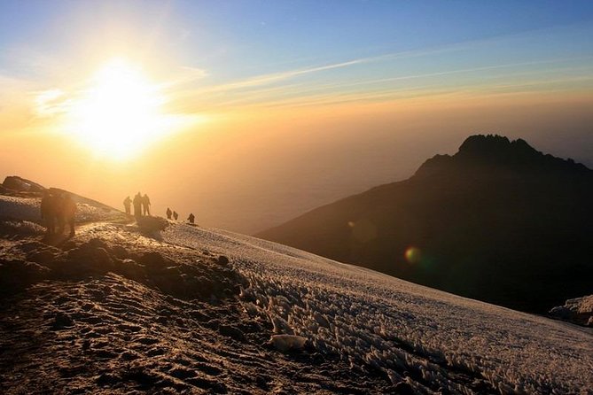 7-Day Kilimanjaro Climb Machame Route–The Best Path to Uhuru Peak - Day 2: Machame Camp to Shira Cave Camp