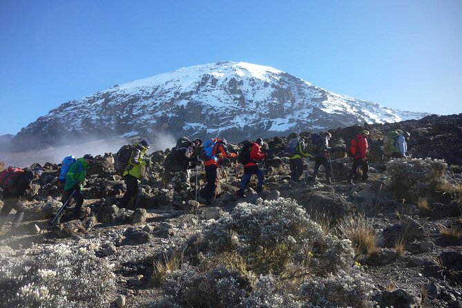 7 Day Kilimanjaro Climbing Via Lemosho Route - Why Lemosho is the right route for scenery