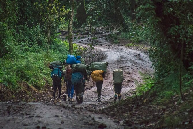 7 Day Kilimanjaro Machame climb - Day four: Scrambling over Barranco Wall
