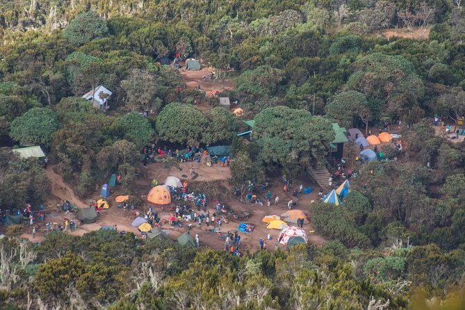 7 Day Kilimanjaro Machame climb - Day five: A quiet approach to summit camp