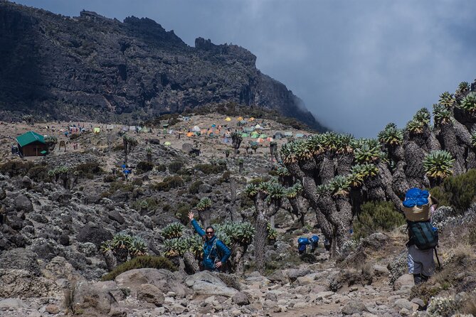 7 Day Kilimanjaro Machame climb - Day six: Uhuru Peak under a midnight sky