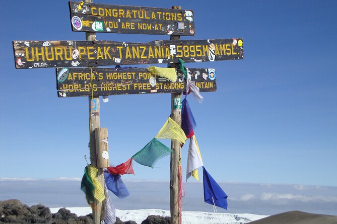 7 Day Kilimanjaro Machame climb - Day two: Moorland views toward Shira