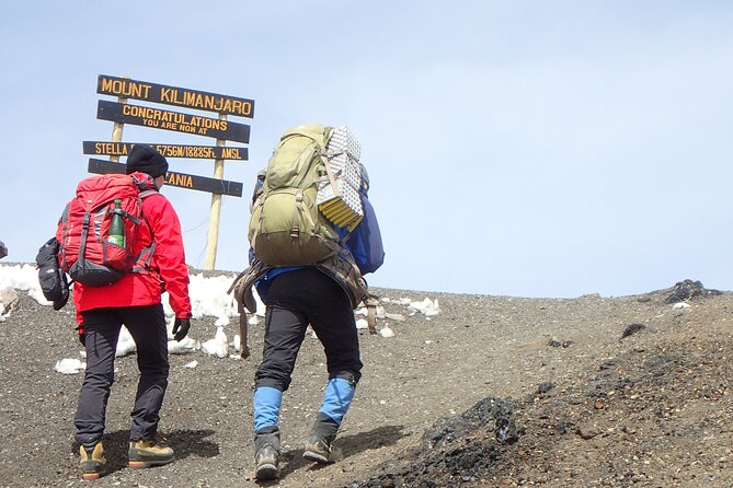 7-Day Kilimanjaro Trekking Tour via Machame Route - Day 2: Shira Plateau and a dramatic change in scenery