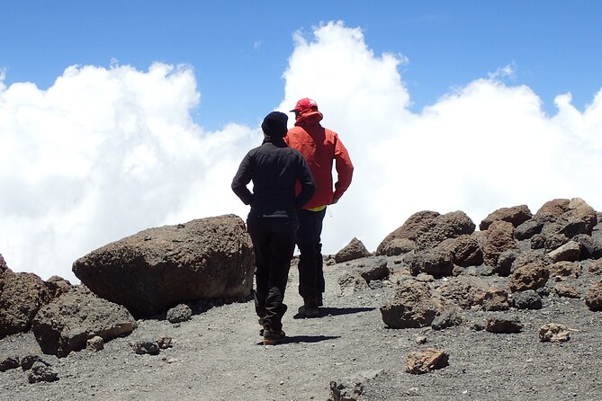 7-Day Kilimanjaro Trekking Tour via Machame Route - Day 3: Lava Tower, alpine desert, and Barranco Camp