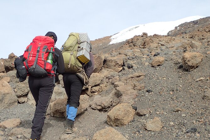 7-Day Kilimanjaro Trekking Tour via Machame Route - Day 4: Climbing the Barranco Wall