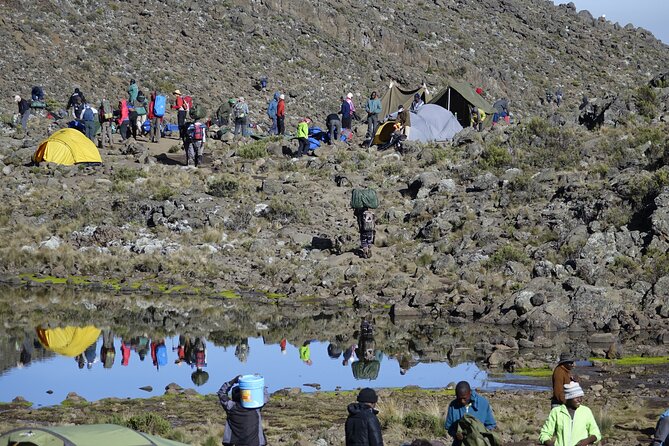 7-Day Kilimanjaro Trekking Tour via Machame Route - Day 6: Leaving the high camps for the rainforest