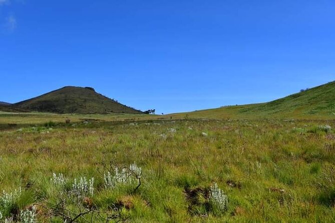 7-Day Machame Route Kilimajaro - Day 7: Forest descent and the Mweka Gate