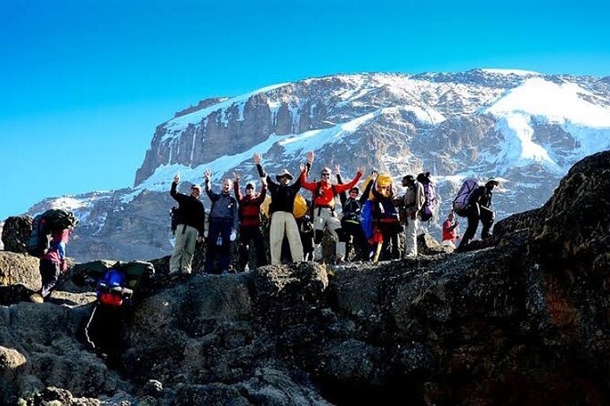 7-Day Machame Route Kilimajaro - Day 2: Moorland and the Shira Plateau