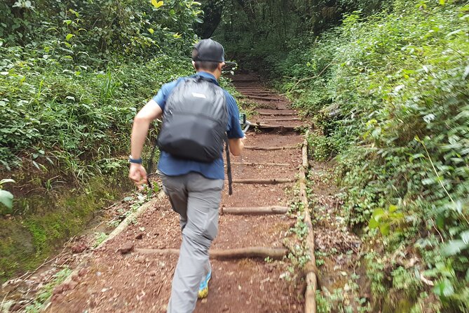 7-Day Mountain Climbing in Machame Route - Day 3: volcanic rock and a confusing camp detail