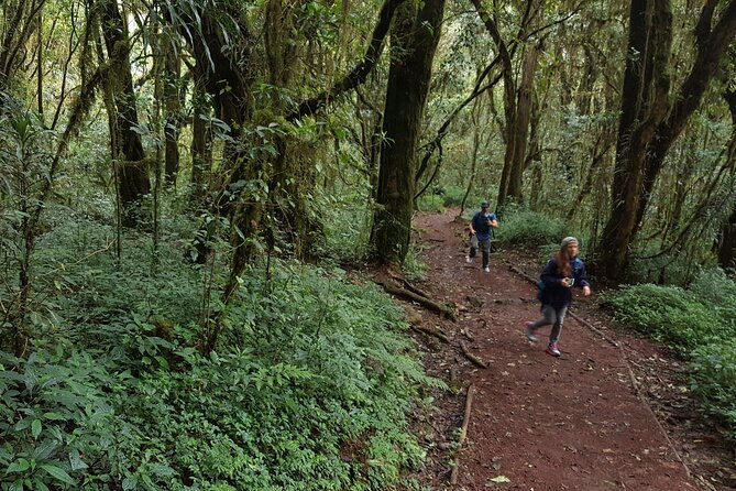 7-Day Mountain Climbing in Machame Route - Day 5: Barafu Camp and the quiet before summit night