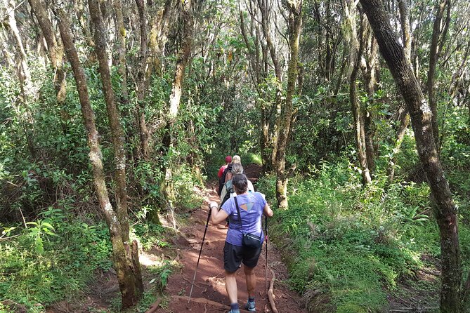 7-Day Mountain Climbing in Machame Route - Day 6: the midnight climb to the roof of Africa