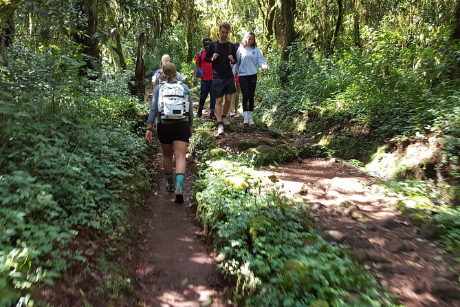 7-Day Mountain Climbing in Machame Route - Day 1: rainforest from 1,811 to 3,021 meters