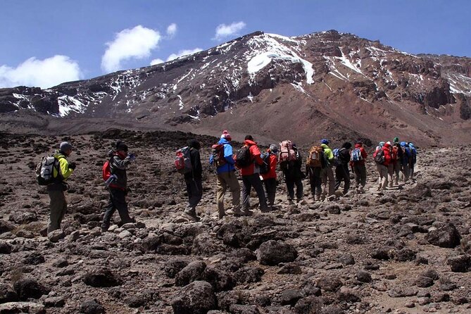 7-Day Mt. Kilimanjaro Hiking: Machame Route - Day 1: From Arusha to the wet Machame forest
