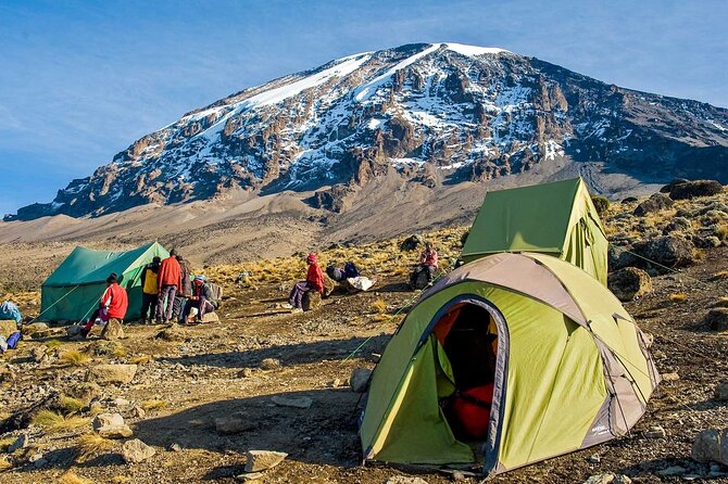 7-Day Mt. Kilimanjaro Hiking: Machame Route - Day 4: The Barranco Wall and a better rhythm