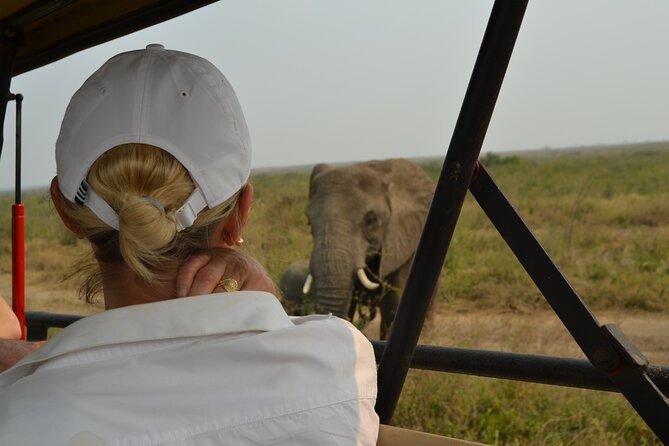 7-Day North Tanzania Classic Safari - Day three: Lake Manyara, flamingos, and possible tree-climbing lions