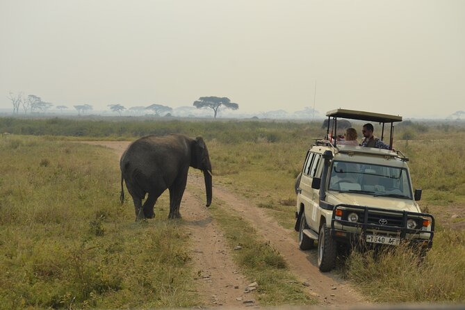 7-Day North Tanzania Classic Safari - Day four: the long road through Ngorongoro to the Serengeti