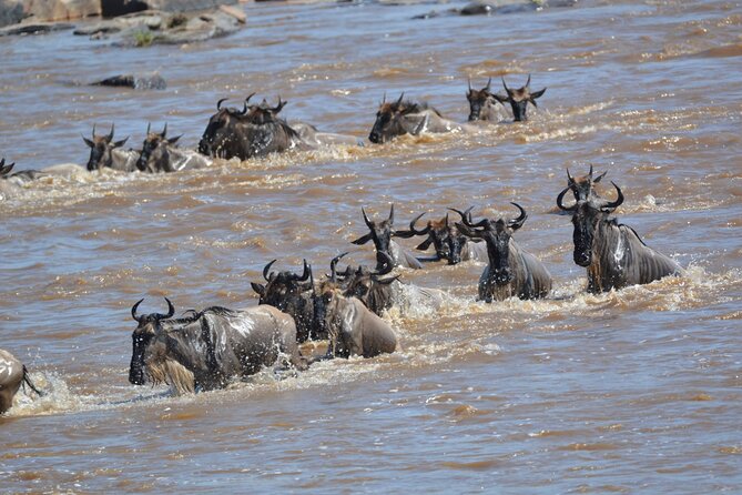 7-Day North Tanzania Classic Safari - Day six: Olduvai Gorge and the Ngorongoro Crater