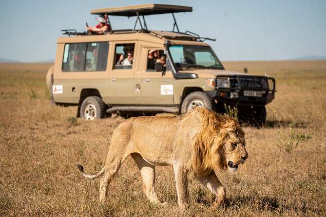 7-Day Premium Luxury Tanzania Safari All-Inclusive - Key points at a glance