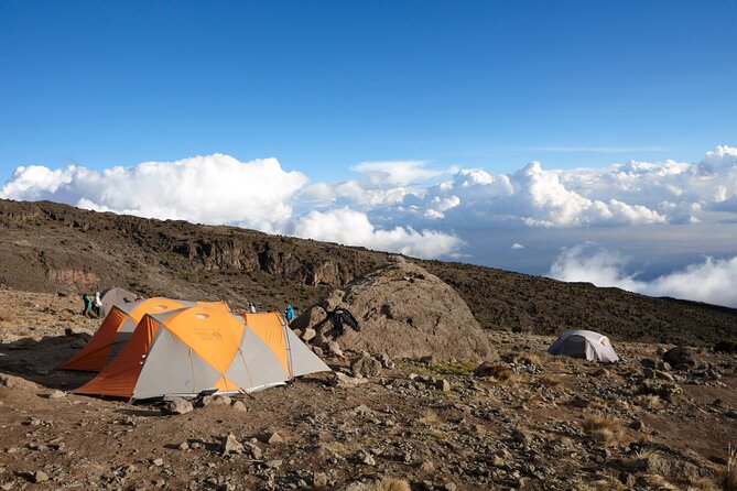 7-Day Private Kilimanjaro Hiking Tour via Machame from Arusha - Day 4: The Barranco Wall and Karanga Valley