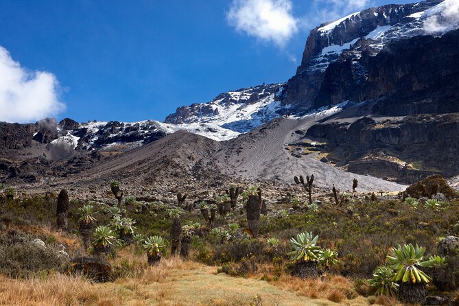 7-Day Private Kilimanjaro Hiking Tour via Machame from Arusha - Day 2: Shira Plateau and the first serious altitude gain