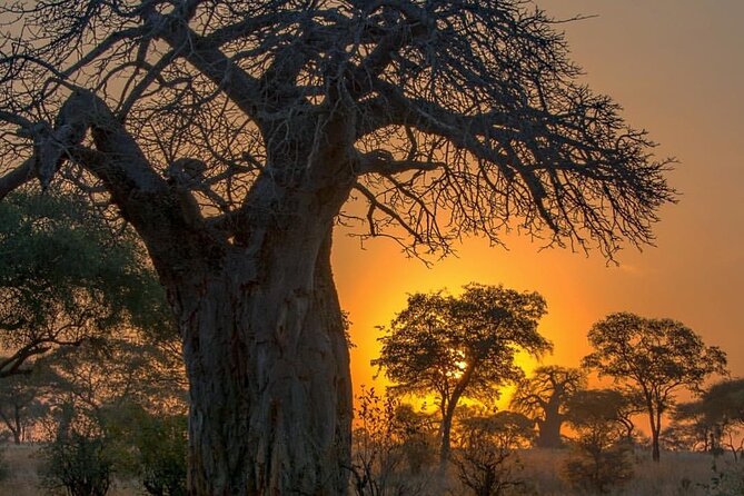 7-Day Private midrange Tour in Arusha with Airport Pickup - Key points to know before booking