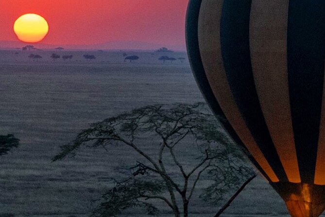 7-Day Private midrange Tour in Arusha with Airport Pickup - What the $3,900 price really buys you