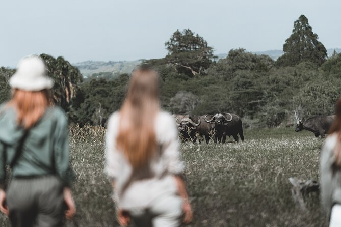 7 Day Safari in Tanzania National Parks - Day 1: Walking close to wildlife in Arusha National Park