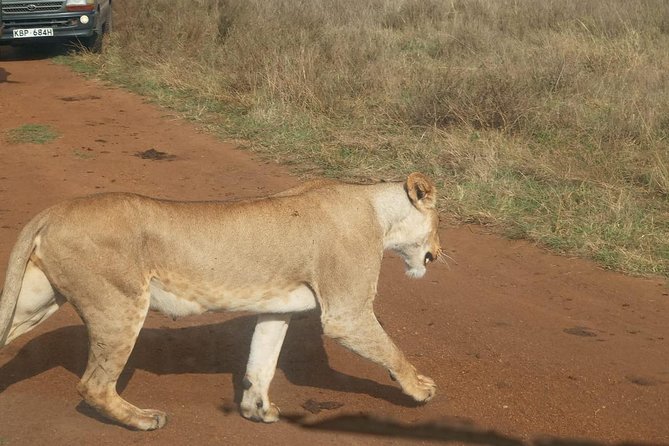 7 Day Tanzania visiting Arusha, Lake Manyara, Serengeti, Ngorongoro & Tarangire - Day 7: Lake Manyara on the return to Arusha