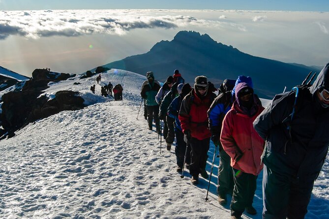 7 Day Tour Machame Route - Why seven days on Machame is a sensible choice