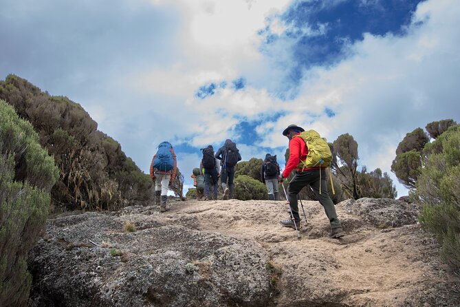 7 Day Trek To The Roof Of Africa Kilimanjaro via Machame Route - Day 5: The Barranco Wall to Karanga Camp