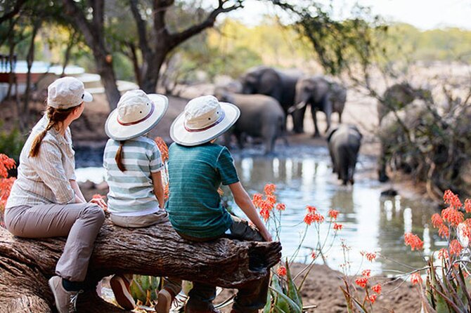 7 Days Best Luxury Safari To Tanzania - Key points to know before booking