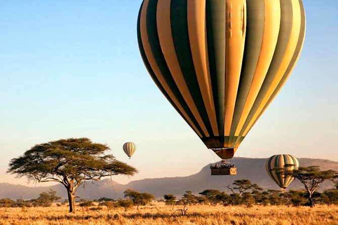 7 Days Best Luxury Safari To Tanzania - A fast start in Arusha after Kilimanjaro Airport