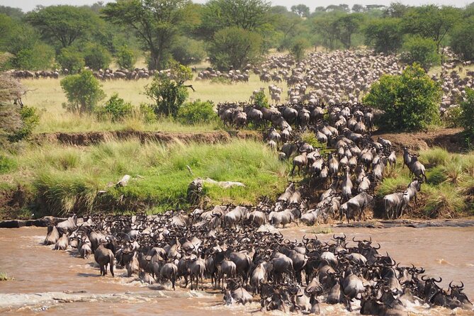 7 Days Best Luxury Safari To Tanzania - What the $5,900 price really buys