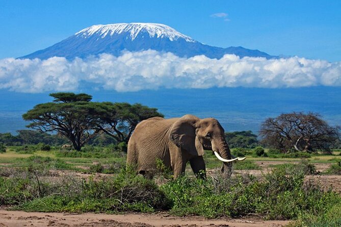 7 Days Best Luxury Safari To Tanzania - Lake Manyara and Mto Wa Mbu add variety