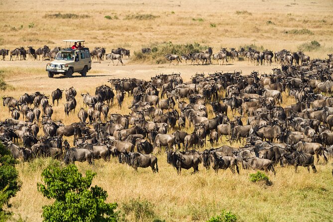 7 Days Cultural and Wildlife Safari - Olduvai Gorge and the road into Serengeti