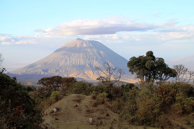 7 Days Cultural and Wildlife Safari - Lake Manyara, the short stop with big scenery