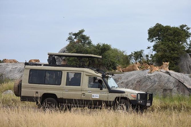 7 Days: Great Migration Mara River Crossing(manyara, Ngorongoro And Serengeti) - The Mara River on days five and six