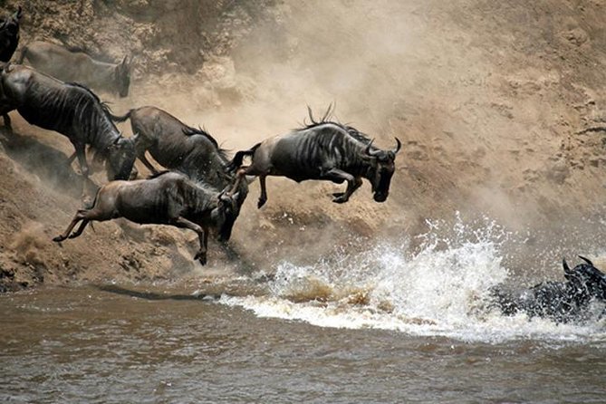 7 Days: Great Migration Mara River Crossing(manyara, Ngorongoro And Serengeti) - Lake Manyara’s forest, escarpment, and tree-climbing lions
