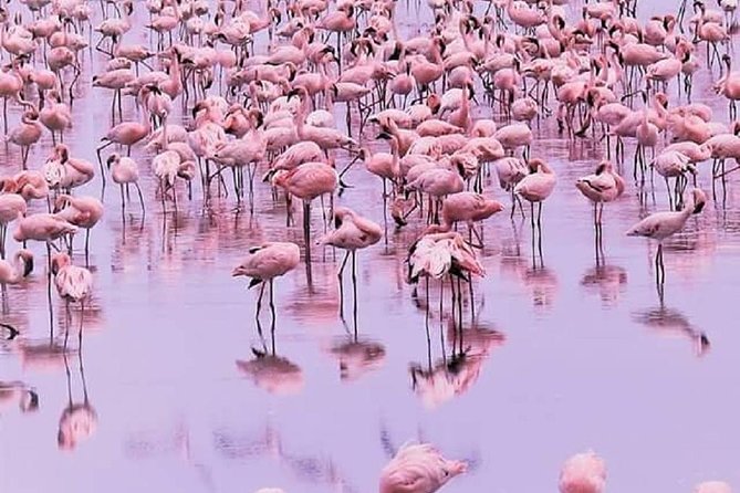 7 days great migration safari - Day 2: From the Rift Valley to Lobo in northern Serengeti