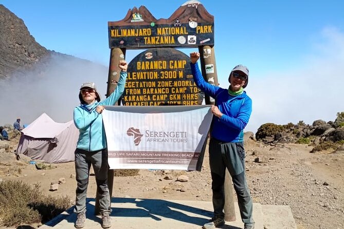 7 days Kilimanjaro climb via Machame route (Whiskey route) - Day 2: Moorland and the open Shira Plateau