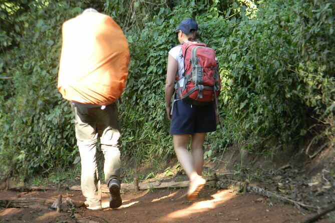 7 Days Kilimanjaro Climbing | Hiking Tour via the Lemosho Route - Day 2: Shira Camp and the first open views