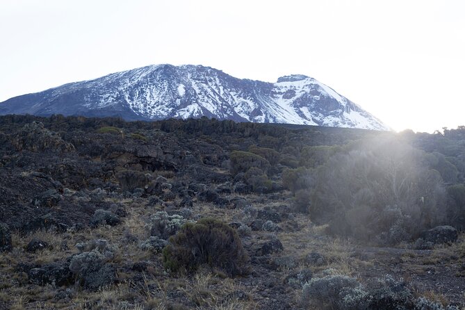 7 Days Kilimanjaro Climbing | Hiking Tour via the Lemosho Route - Day 4: Over the Barranco Wall to Karanga