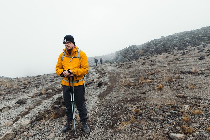 7 Days Kilimanjaro trek via Machame route - Day seven: through the forest to Mweka Gate
