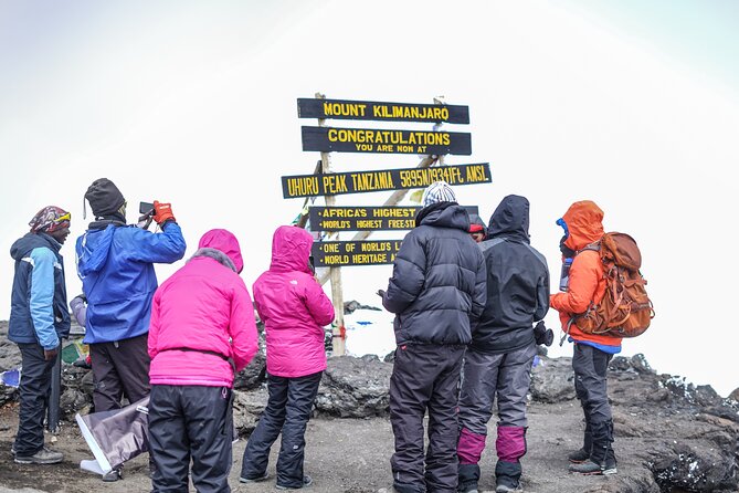 7 Days Kilimanjaro trek via Machame route - Day two: Shira Plateau and the first real altitude change