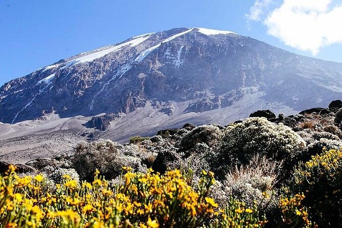 7 Days Kilimanjaro Trekking Machame Route - Day six: Stella Point, Uhuru Peak, and the long descent