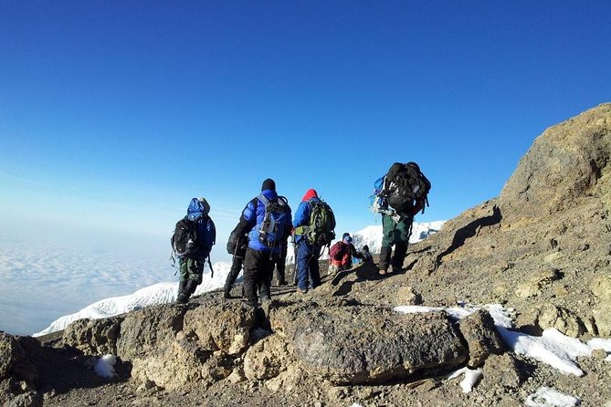 7 Days Kilimanjaro Trekking Machame Route with Professional Guide - Day 2: Machame Gate and the first forest camp