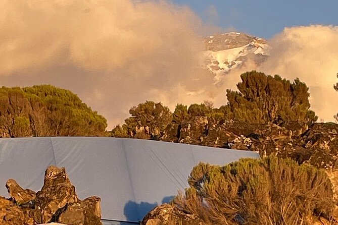 7 Days Kilimanjaro Trekking Machame Route - Day two: Shira Plateau and the first altitude gain