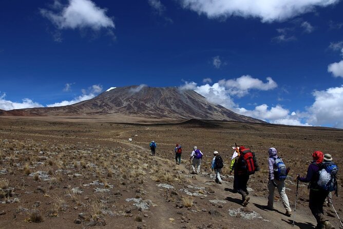7 Days Kilimanjaro via Machame route affordable price - Day five, Uhuru Peak at 19,341 feet